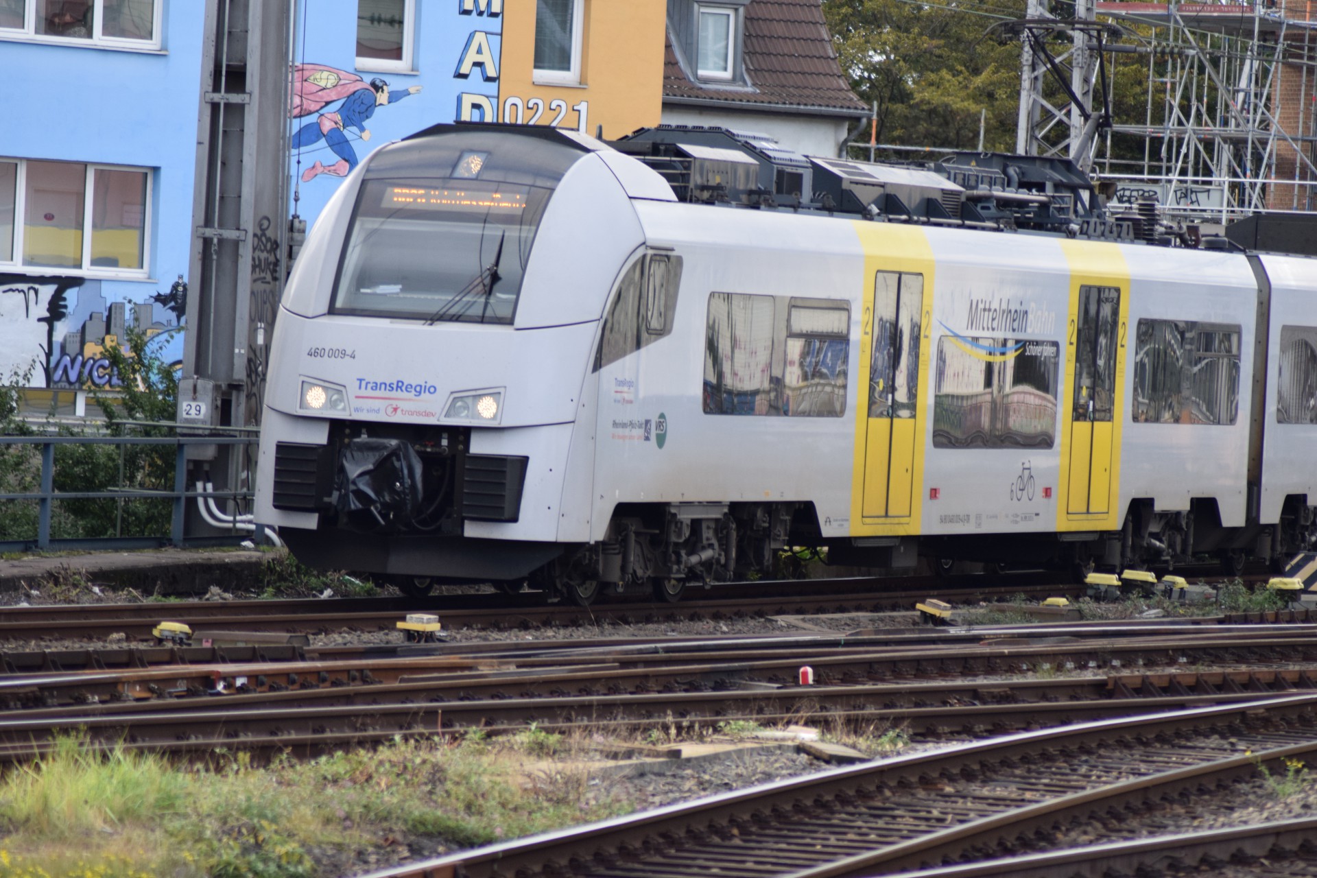 684d9cf3206cc_1749916915.jpg